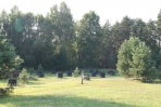 paintball5