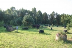 paintball6