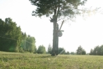 telkimine1